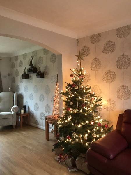 Show me your tree!
