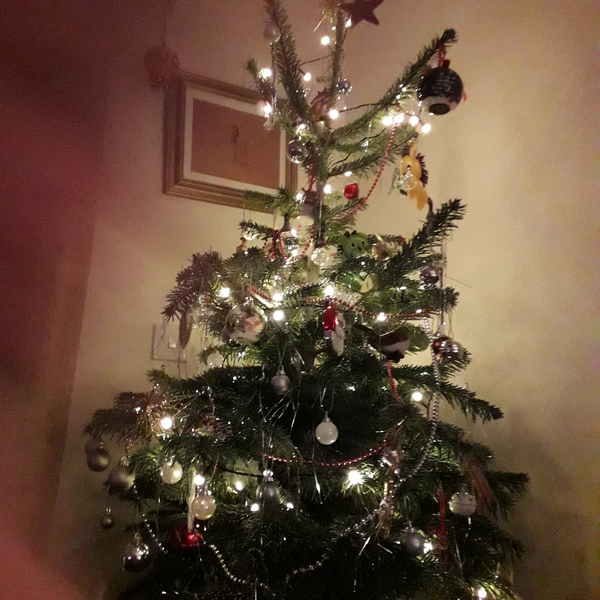 Show me your tree!