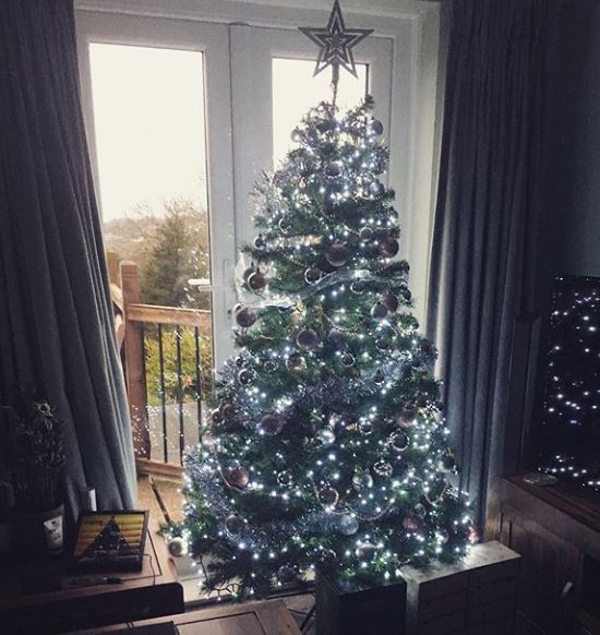 Show me your tree!
