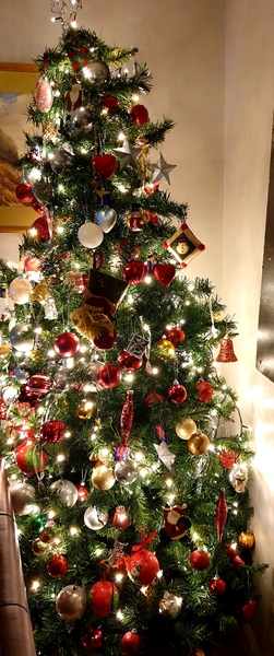 Show me your tree!