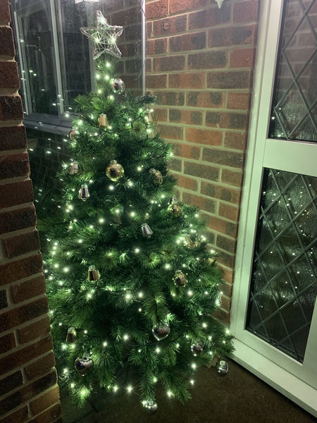 To ask to see your Christmas decorations?