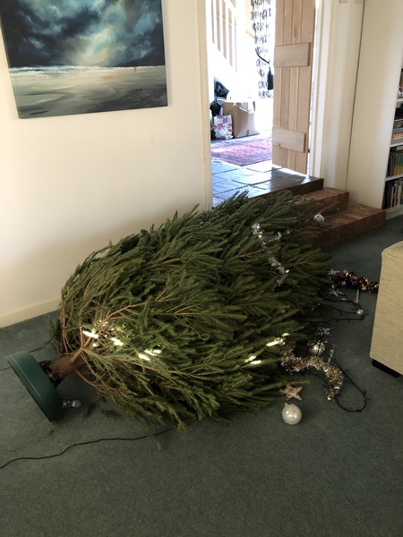 My toddler keeps calling the Christmas tree an arsehole.