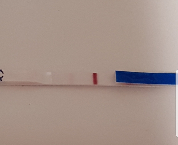 Testing 2nd Week December