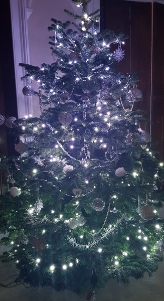 Show me your tree!