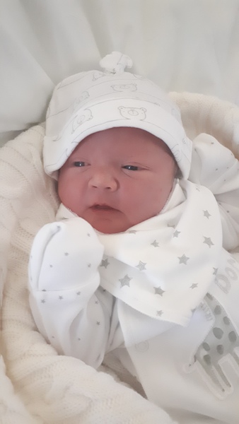 Due December 2019- 3rd thread