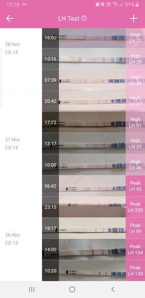 Ovulation Xmas week