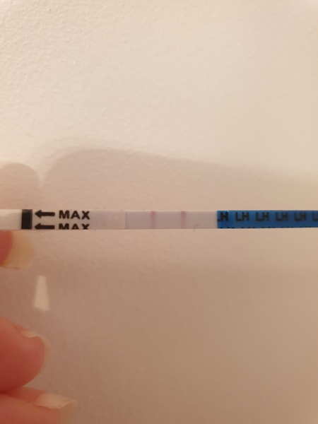 Positive opk?