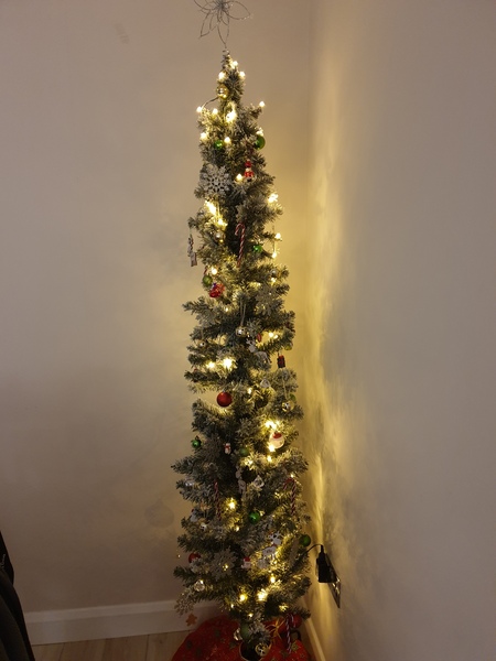 Show me your tree!