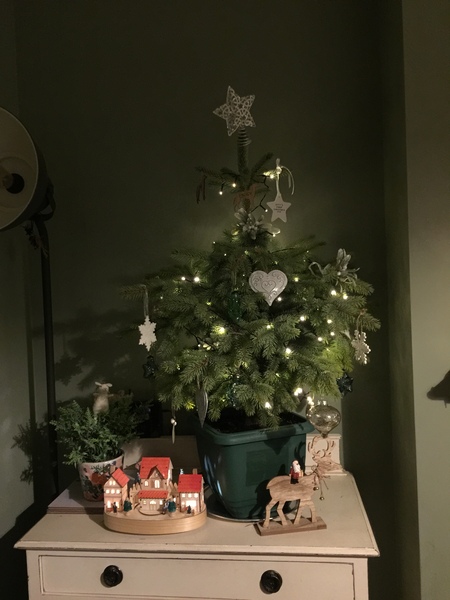 To ask to see your Christmas decorations?