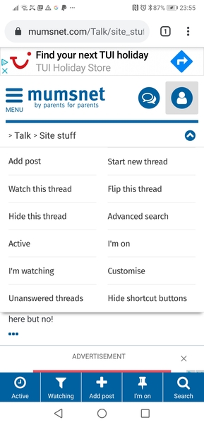 Blue bar at the bottom of page missing