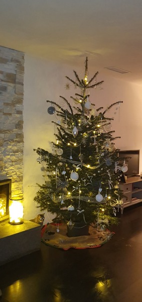 To ask to see your Christmas decorations?