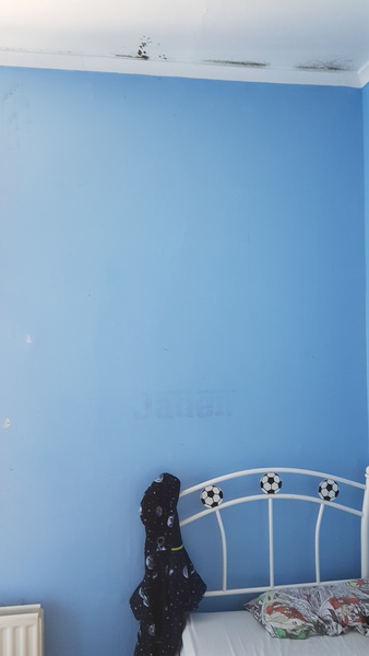 Damp