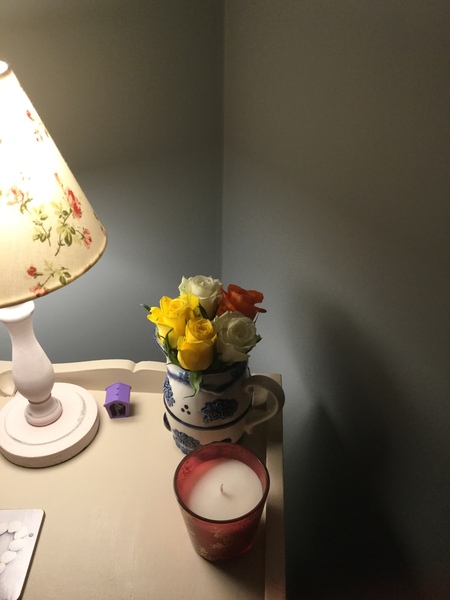 Westminsterenders: Talent or Colour