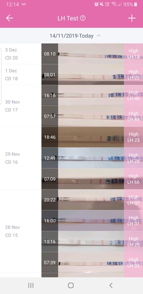 Testing 2nd Week December