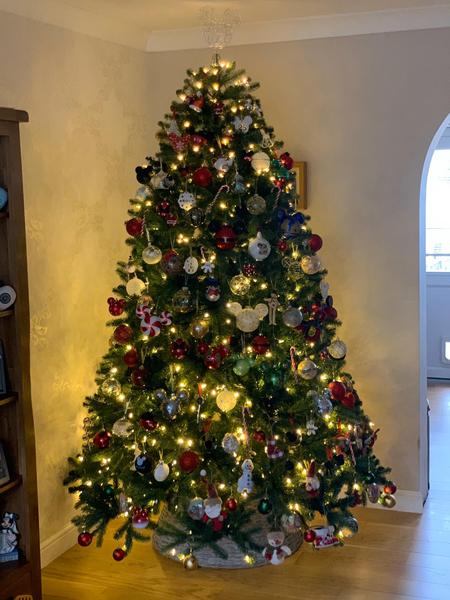 Let’s see your Christmas trees 🎄