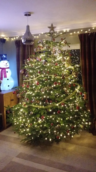 Show me your tree!
