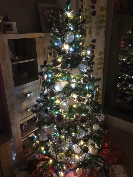 Show me your tree!