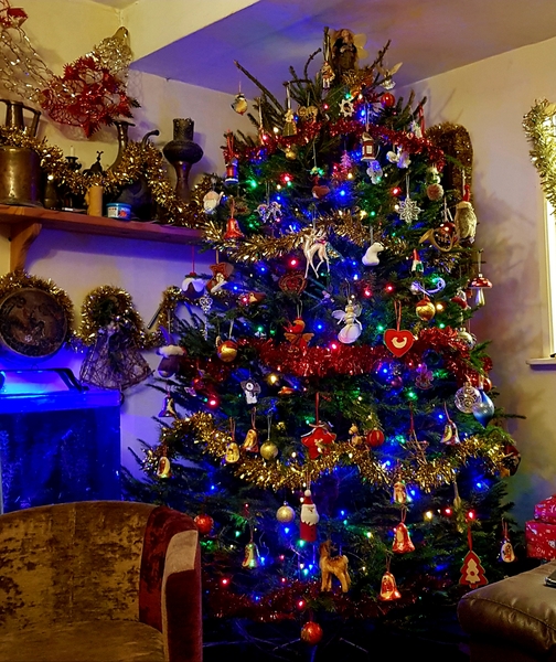 Let’s see your Christmas trees 🎄