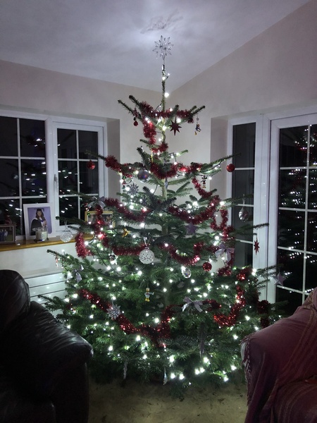 Let’s see your Christmas trees 🎄
