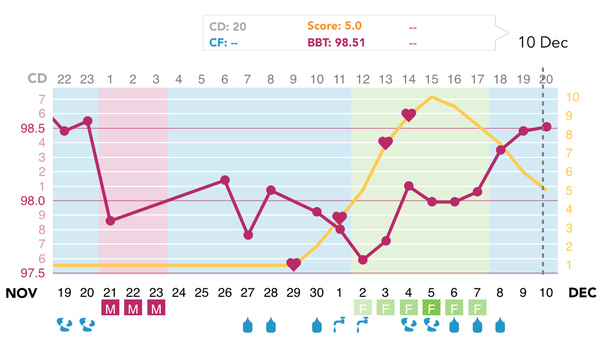 When did I ovulate