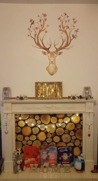 To ask to see your Christmas decorations?