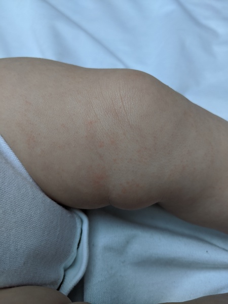 August/ September 2019 babies #2