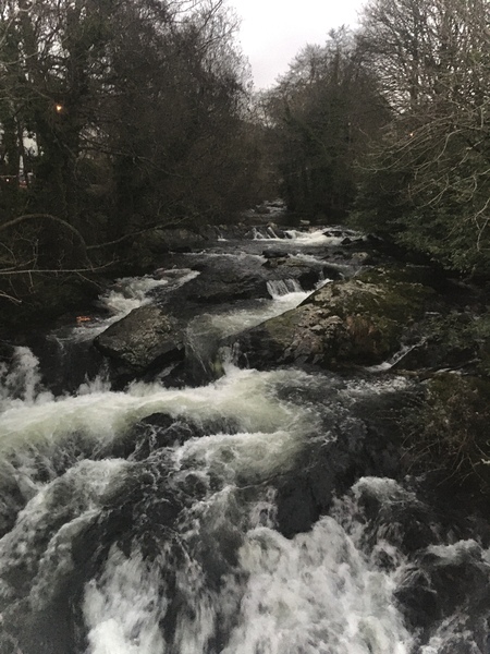 Any Witches Here? Part 10.