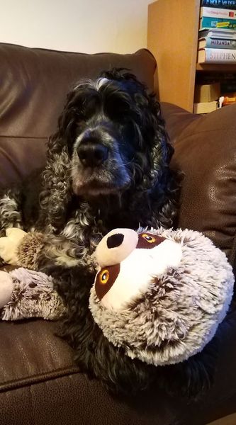 My dog is best dog