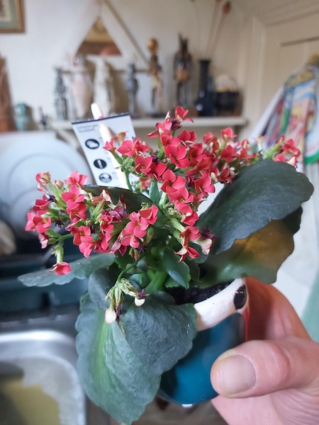 Any idea what this is?