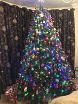 Show me your tree!