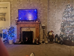 To ask to see your Christmas decorations?