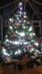 Show me your tree!