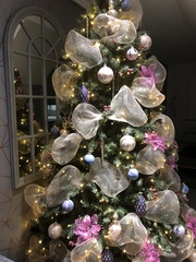 Show me your tree