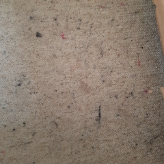 Filthy stained carpet: worth professional clean or get rid? Pic