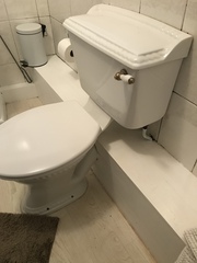 What type of toilet should I buy? *pic*