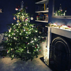To ask to see your Christmas decorations?