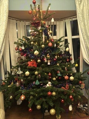 Let’s see your Christmas trees 🎄