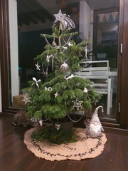 To ask to see your Christmas decorations?