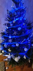 Let’s see your Christmas trees 🎄