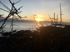 Any Witches Here? Part 10.