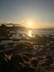 Any Witches Here? Part 10.