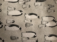 Next luxury Christmas wrap - argh!!!!!!