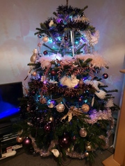 To ask to see your Christmas decorations?