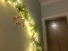 To ask to see your Christmas decorations?