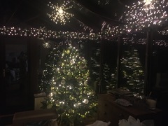 To ask to see your Christmas decorations?
