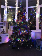 To ask to see your Christmas decorations?