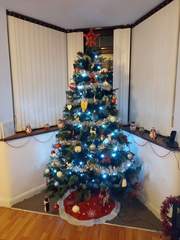 To ask to see your Christmas decorations?