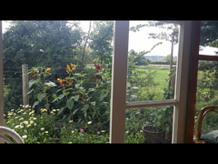 Allotment help please!