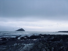 Any Witches Here? Part 10.