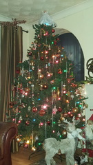To ask to see your Christmas decorations?